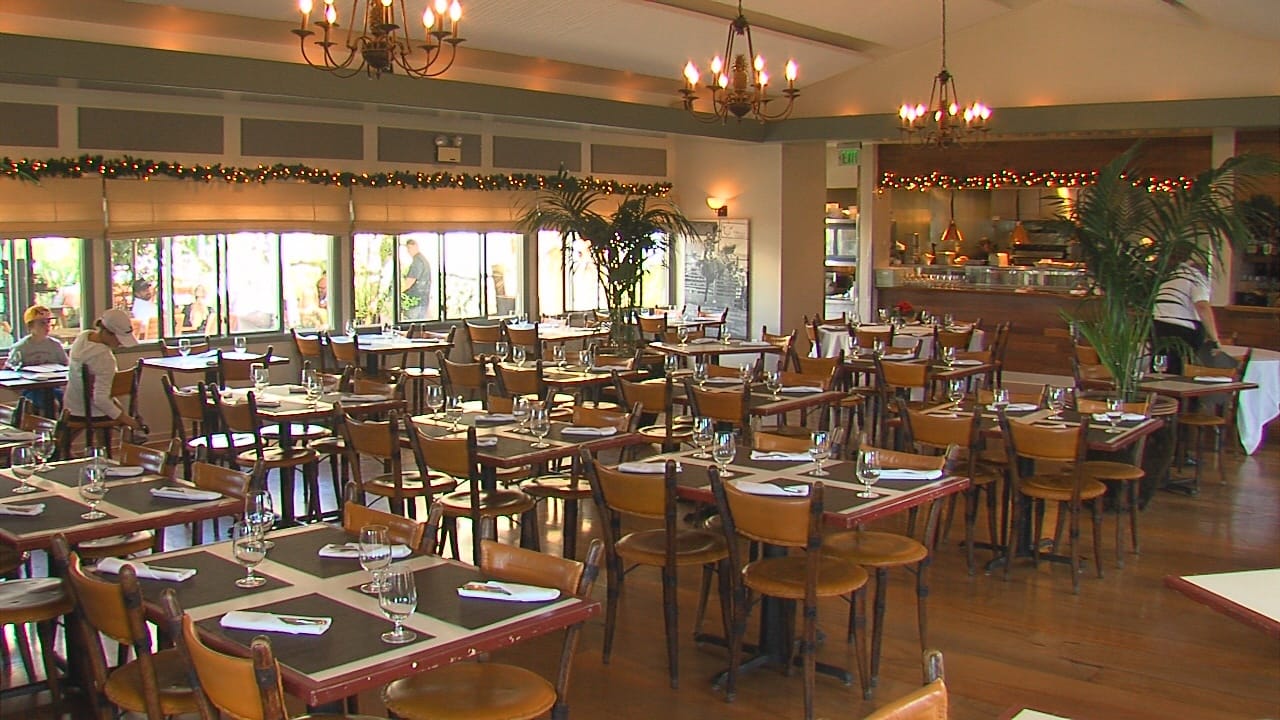 يقدم الاطعمة البحرية والعالمية والاسيوية مناسب للاشخاص النباتيين وخيارات اطعمة خالية من الجلوتين.