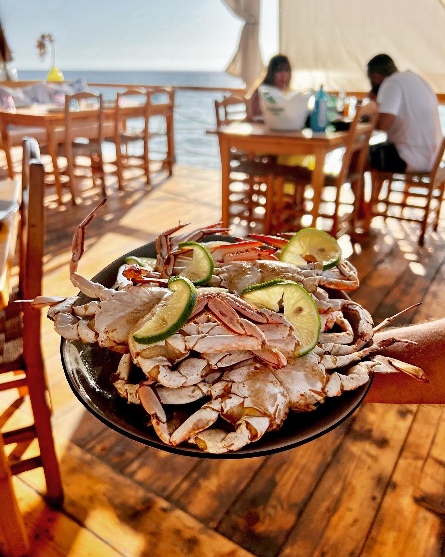 يقدم الاطباق الاوروبية 