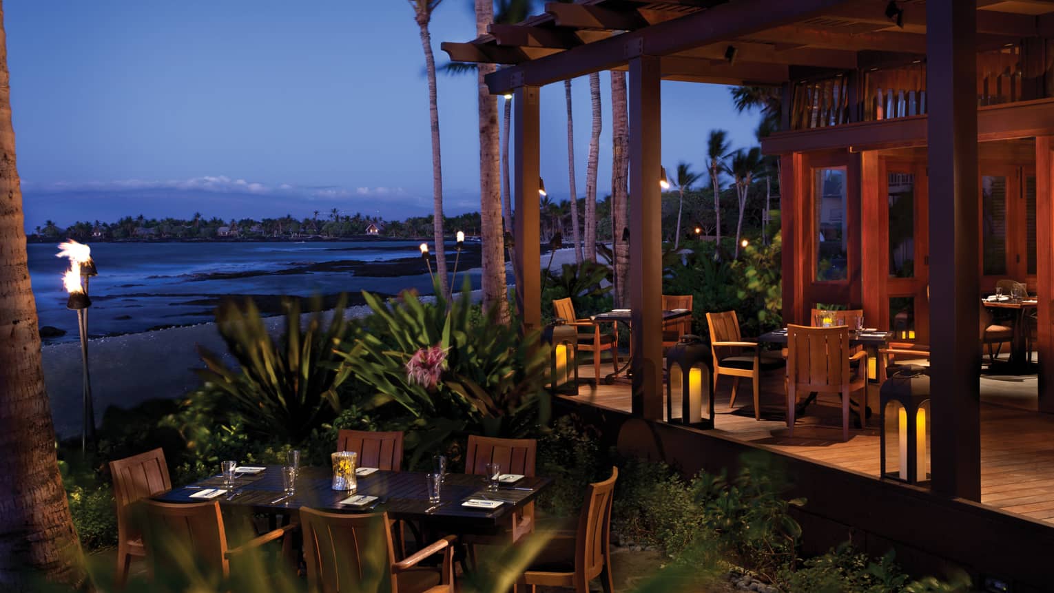 يقدم الاطعمة البحرية والسوشي والاسيوية مناسب للاشخاص النباتيين وخيارات اطعمة خالية من الجلوتين