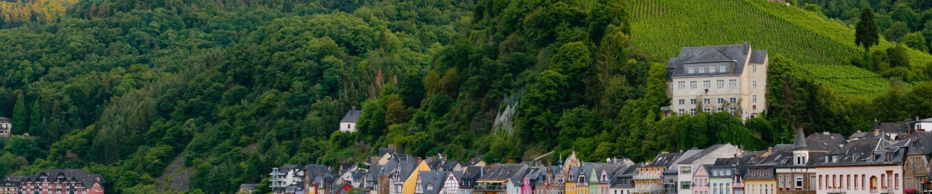 pexels-kai-pilger-547494 (1)