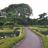 حديقة امبيريال بالاس (Imperial Palace East Gardens)