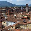Lucques (Lucca), Italie : vue depuis la tour Guinigi